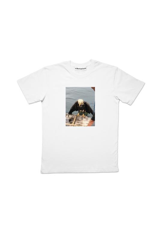Wet Bald Eagle